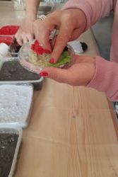 vytvarne cesty spod viecka 21 02