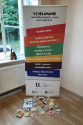 vytvarne cesty spod viecka 21 07