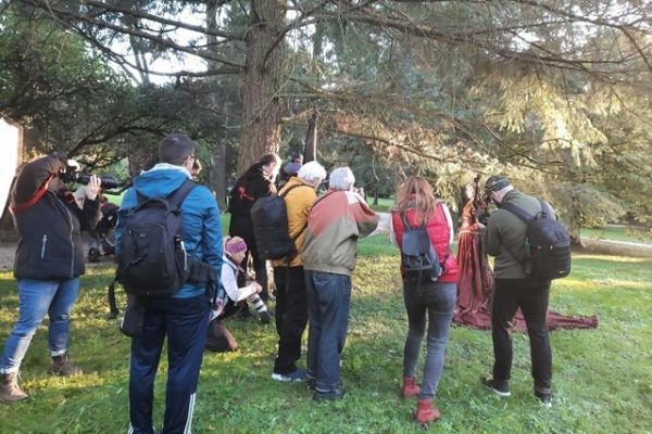 fotoimpulzy fantasy ii 21 04