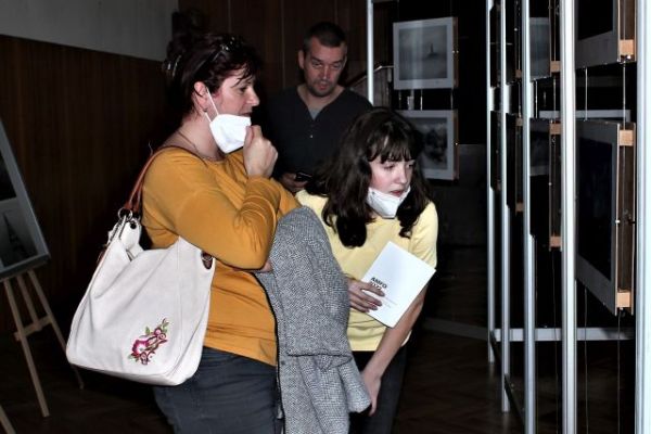 amfo 22 reg vernisaz 01