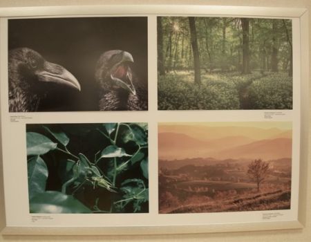 Amfo 23 región - výstava