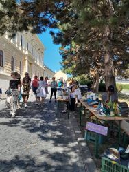 2025 07 05 caro umenia a remesla