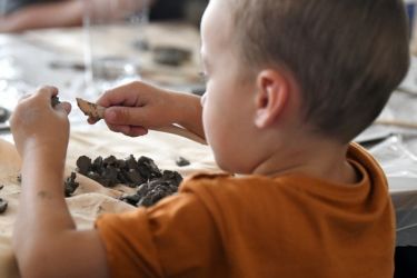 cesta k remeslu iii nvnz 09 08 23