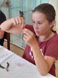 cesta k remeslu iv vrable