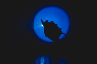 divadelny bodak 2024