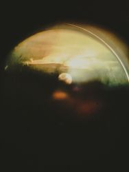 amfo 2026 experiment