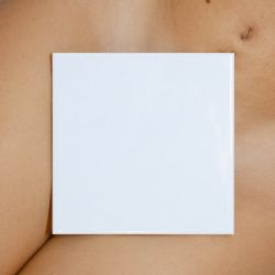 amfo 2026 experiment