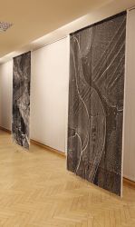 amfo 2026 experiment