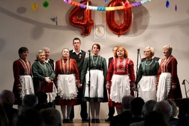 fasiangy na pozobori 24