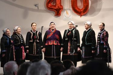 fasiangy na pozobori 24