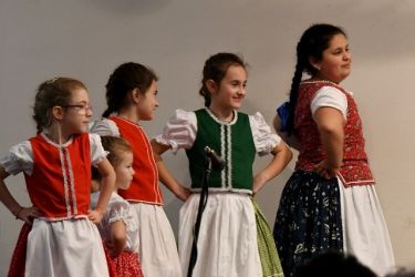 fasiangy na pozobori 24