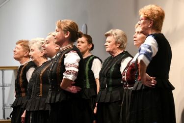 fasiangy na pozobori 24