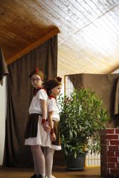 kohutik a jeho pol grajciar