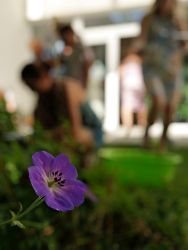 2025 08 11 kreativna kyanotipia