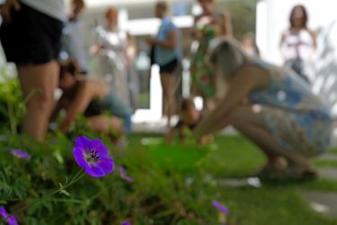 2025 08 11 kreativna kyanotipia