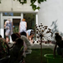 2025 08 11 kreativna kyanotipia