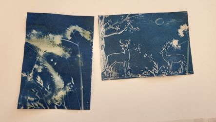 2025 08 11 kreativna kyanotipia