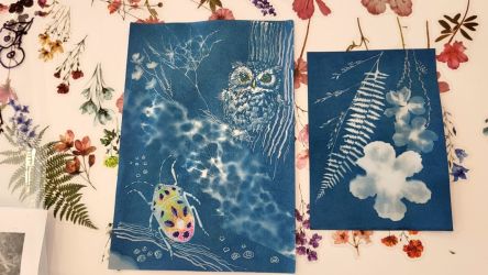 2025 08 11 kreativna kyanotipia