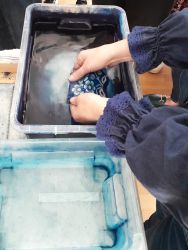 2025 05 14 modrotlacove majstrovstvo