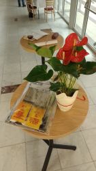 2025 11 05 pod modrym nebem