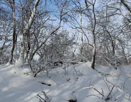 Retrospektíva 2023 FK Nitra