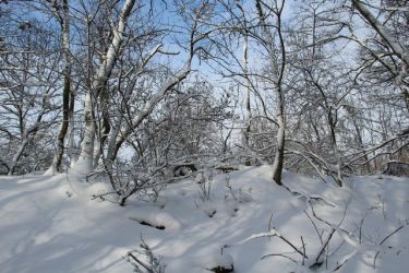 01 retrospektiva 22 fabry v zajati zimy