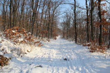 02 retrospektiva 22 fabry v zajati zimy