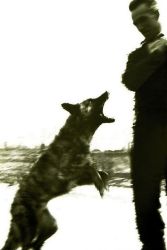 05 retrospektiva finta utok