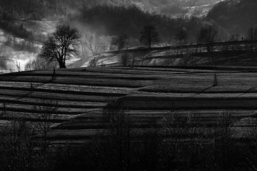 11 retrospektiva michalik polia vo vyske ukrajina