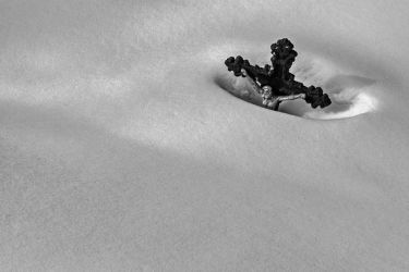 12 retrospektiva michalik ukrizovany