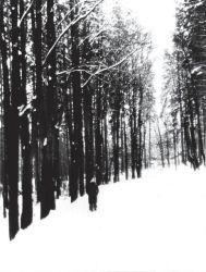 14 retrospektiva slivkanic do lesa