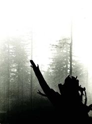 15 retrospektiva slivkanic memento