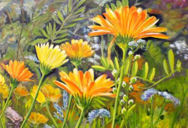 2025 04 02 tiche pribehy stetcom