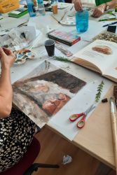 carovny svet ilustracii 22