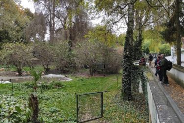 fotografovanie zivocichov 22