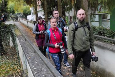 fotografovanie zivocichov 22