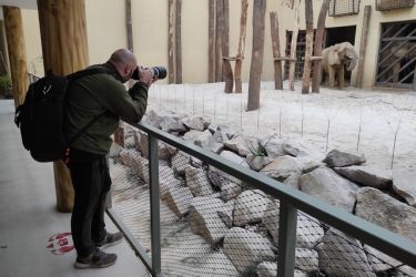 fotografovanie zivocichov 22