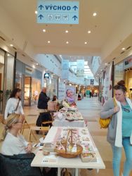 vcelarske slavnosti 2025