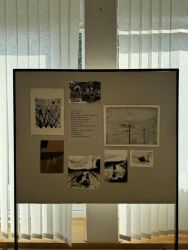 2025 06 05 dvojita vernisaz