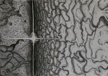 vesmir ocami deti 2024 sala