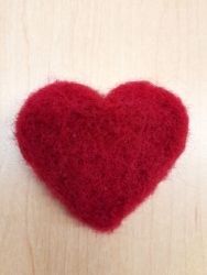 2026 02 11 zaplstene srdcom