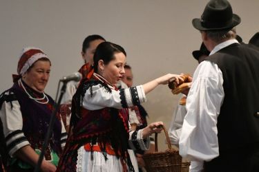 znie piesen podzoboria 23