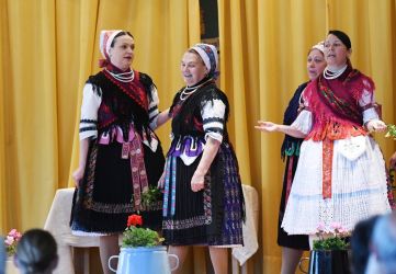 znie piesen pozoboria 2024